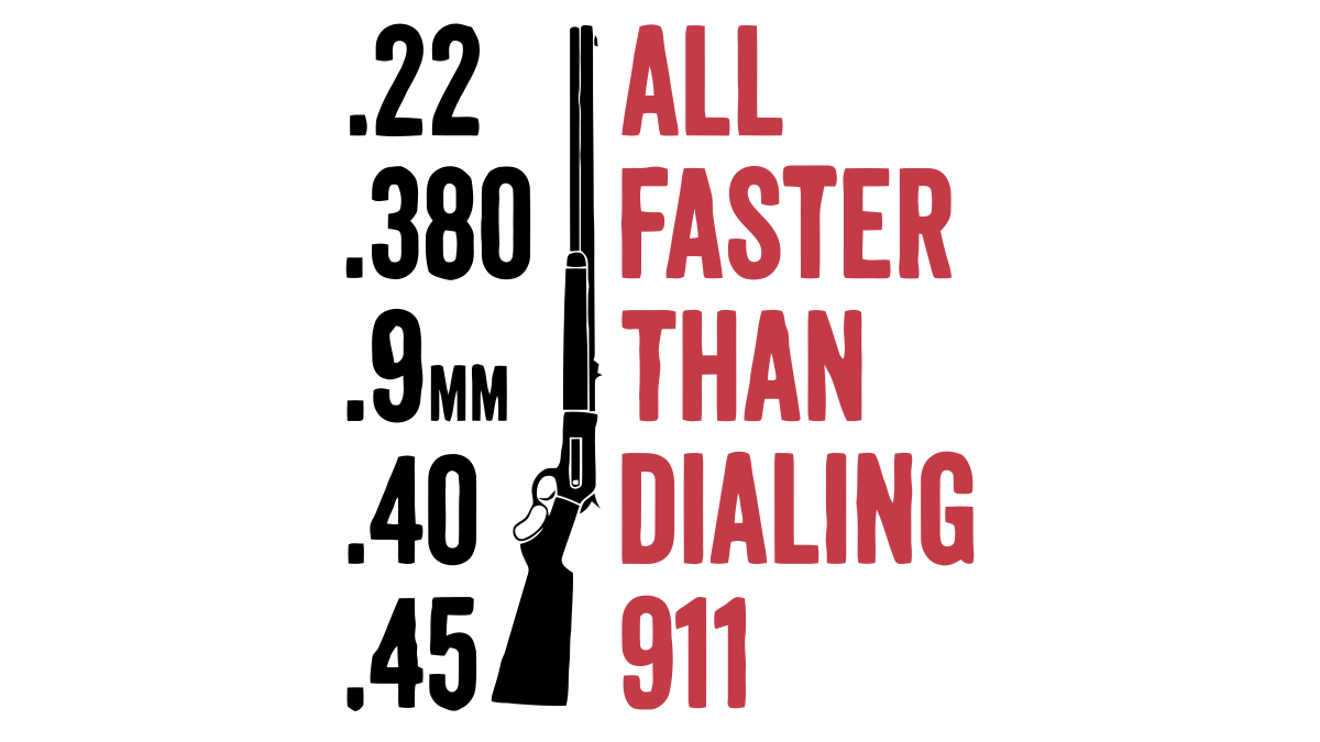 2nd Amendment/2ndAmendment 5.png